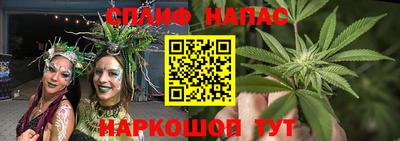 spice Кимры