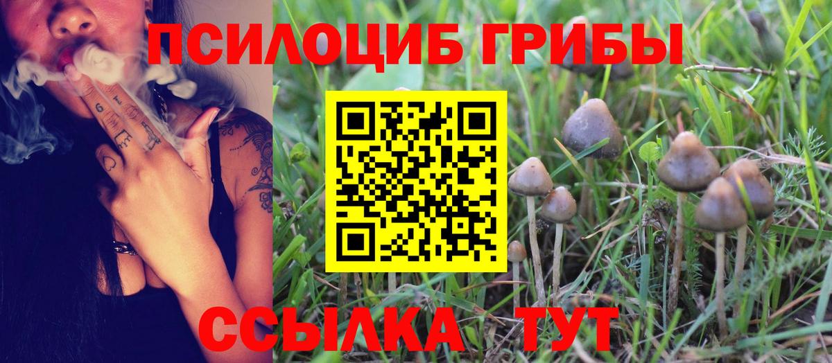 Псилоцибиновые грибы Magic Shrooms  Вход с VPN  Шадринск 