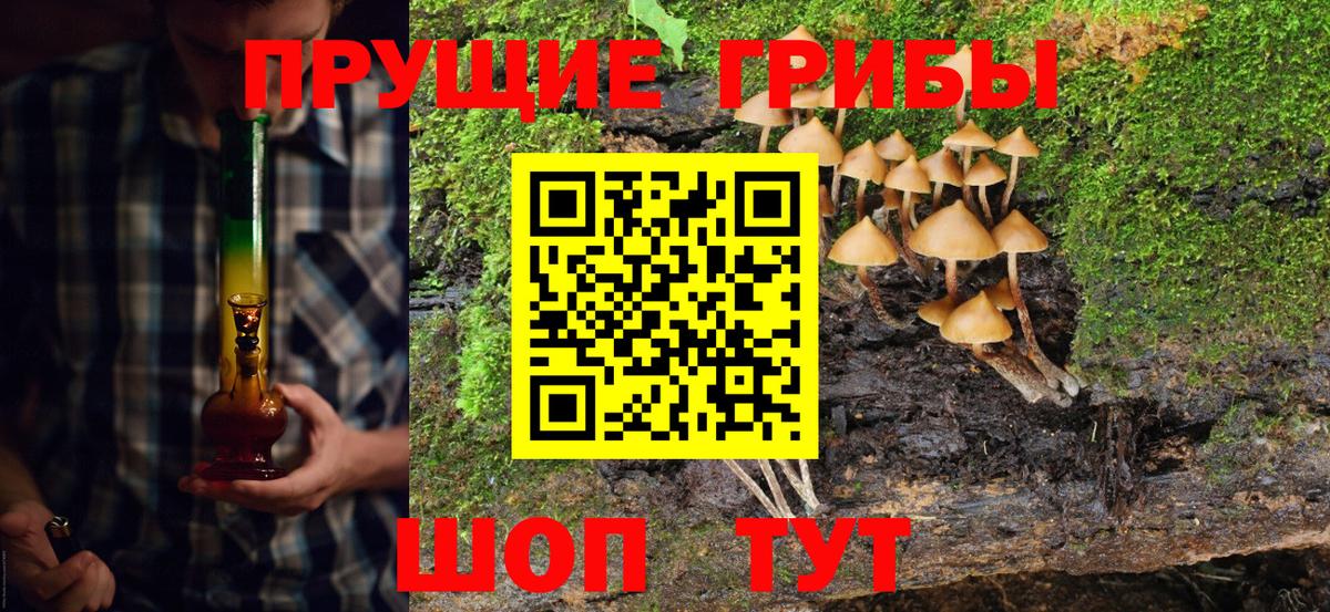 Псилоцибиновые грибы прущие грибы Шадринск